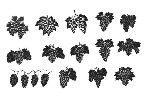 Collection of Grapes: Editable AI EPS Illustrations