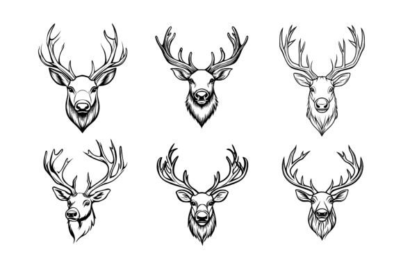 Deer Head Icon Set Illustration Vector for Versatile Design