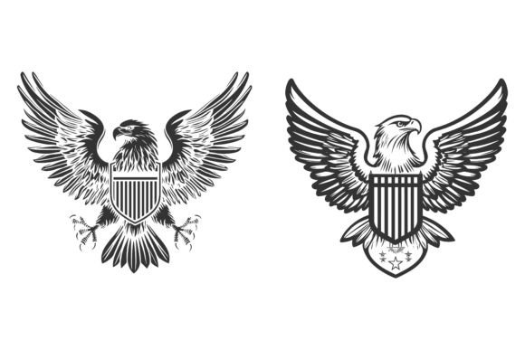 Eagle, Falcon, and Bird Vector Illustrations: A Designer’s Versatile Toolkit